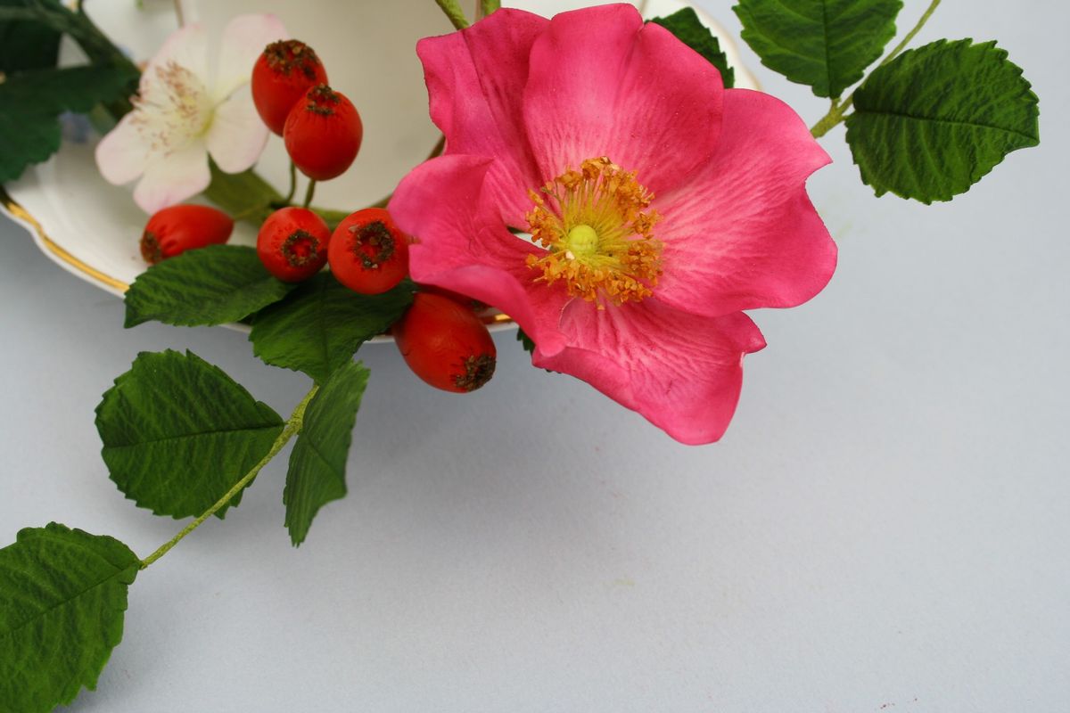 Sugar flower class, wild rose and hips with foliage