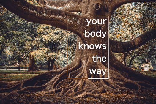 Your body knows the way: Beginning with Focusing