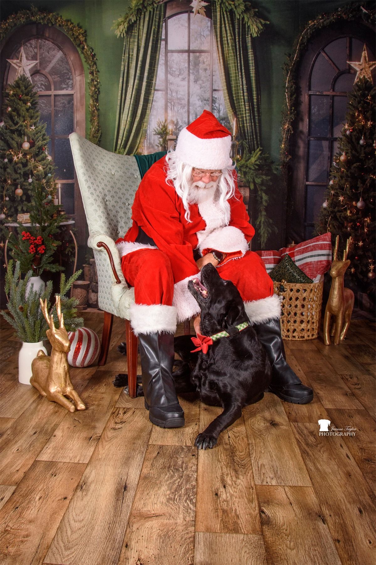 2024 Santa Pet Photos - DAY 1!