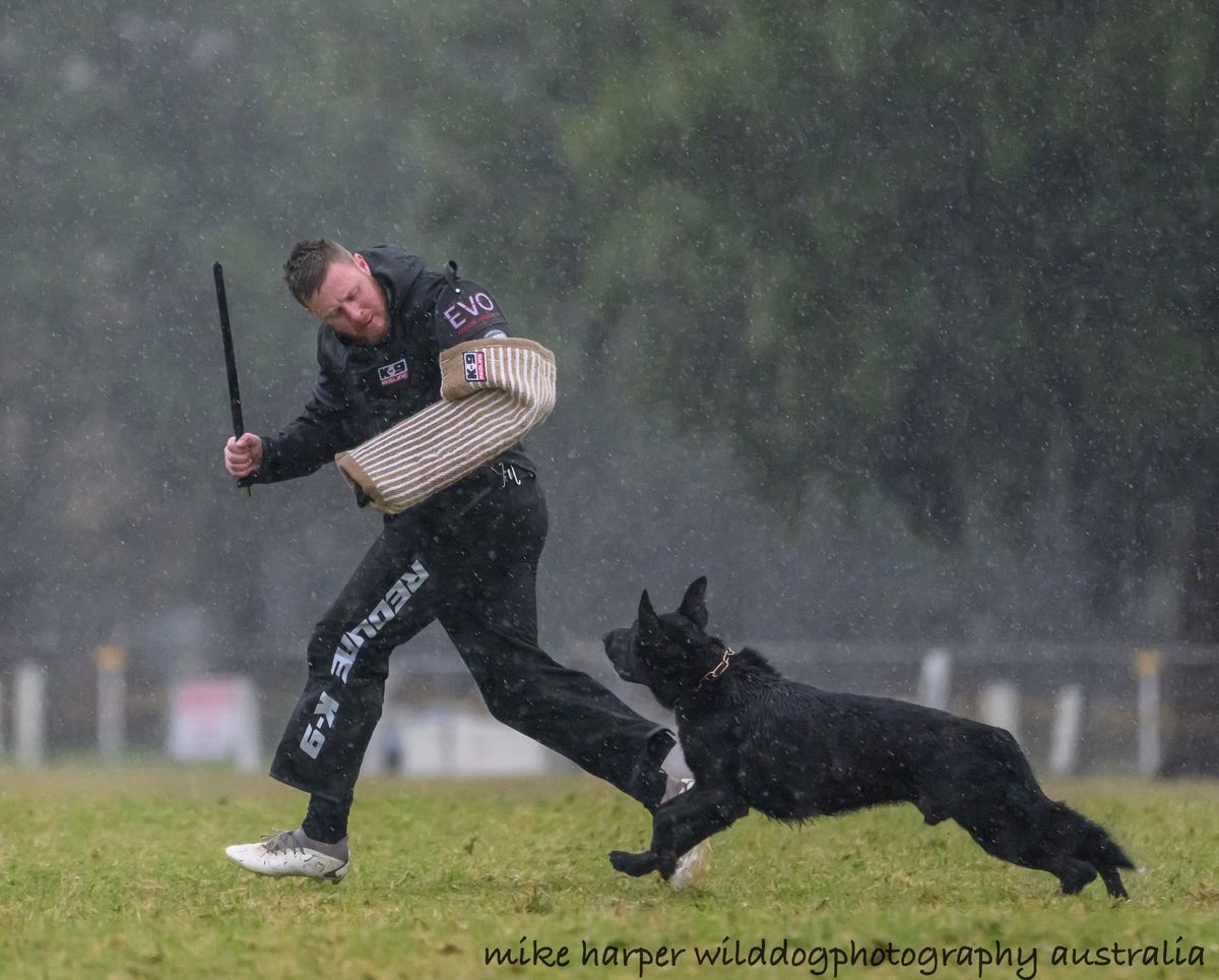 WGSDCA Helper Seminar | Dogsport New Zealand