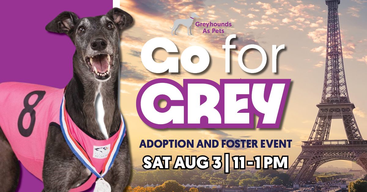 GO FOR GREY: Adoption and Foster Event