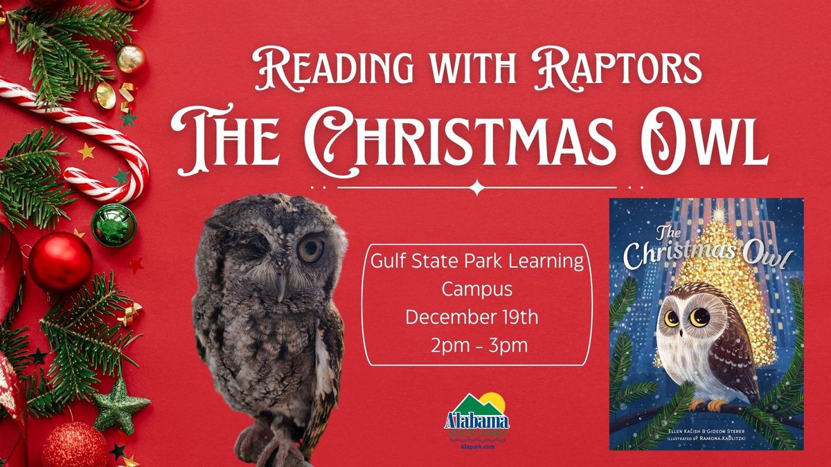 Reading with Raptors: The Christmas Owl