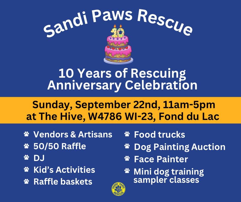 Sandi Paws Rescue 10 Year Anniversary Celebration