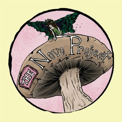The Novo Project
