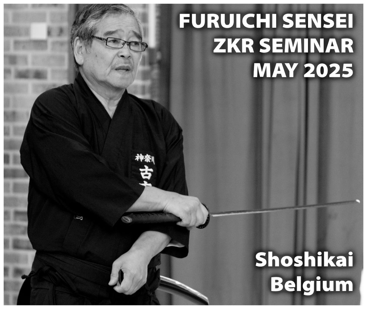 Furuichi sensei's ZKR seminar May 2025