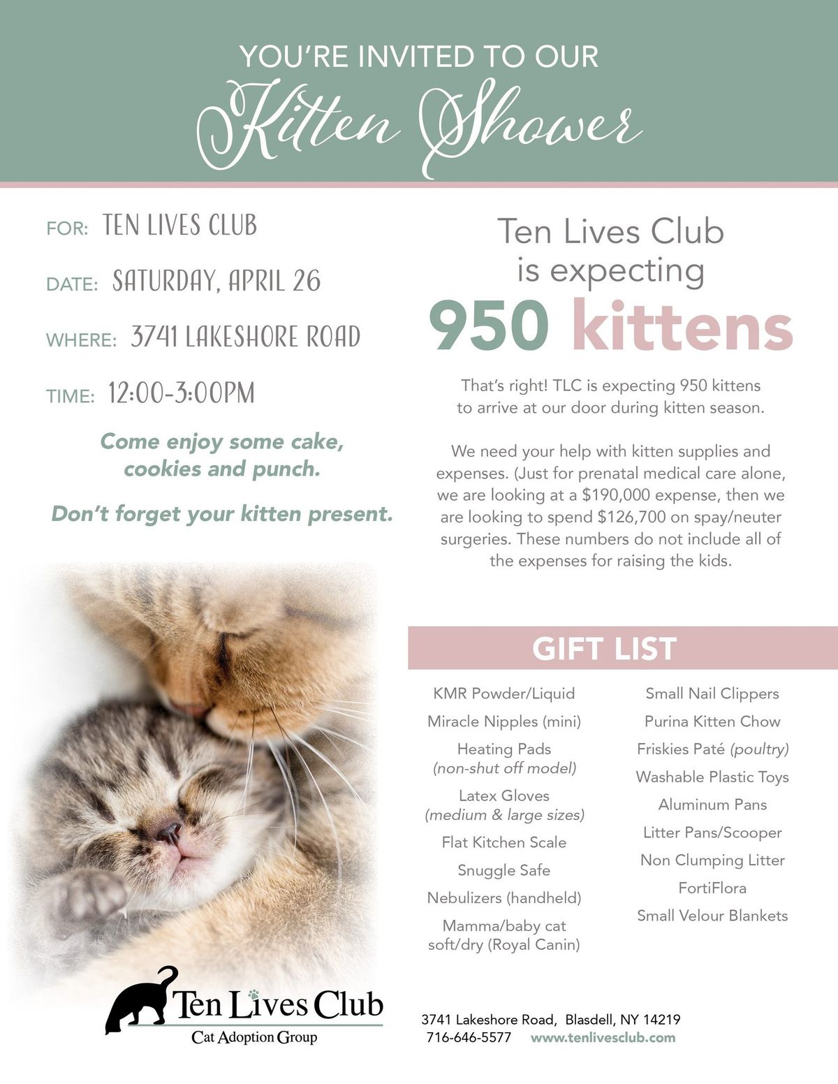 2025 Kitten Shower