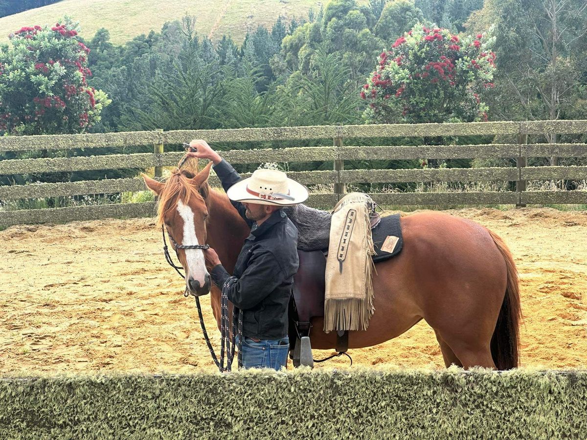 Colt Starting Clinic - Bend, OR