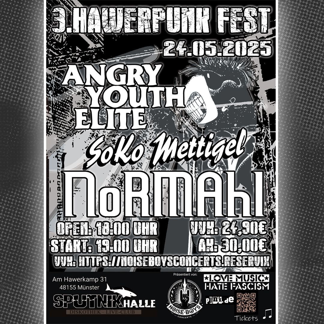 3. Hawerpunk Fest