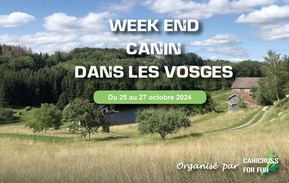 Week-end canin dans les Vosges