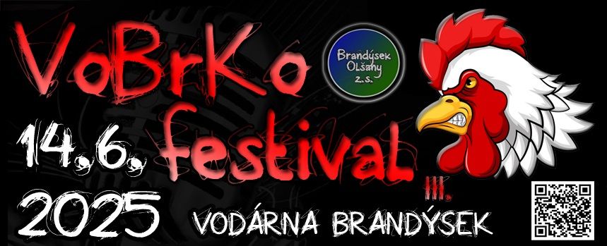 VoBrKo festival III.