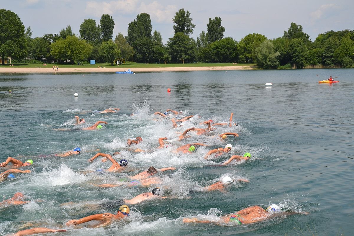 Jedermannschwimmen \u00fcber 1250m und 2500m in Heddesheim
