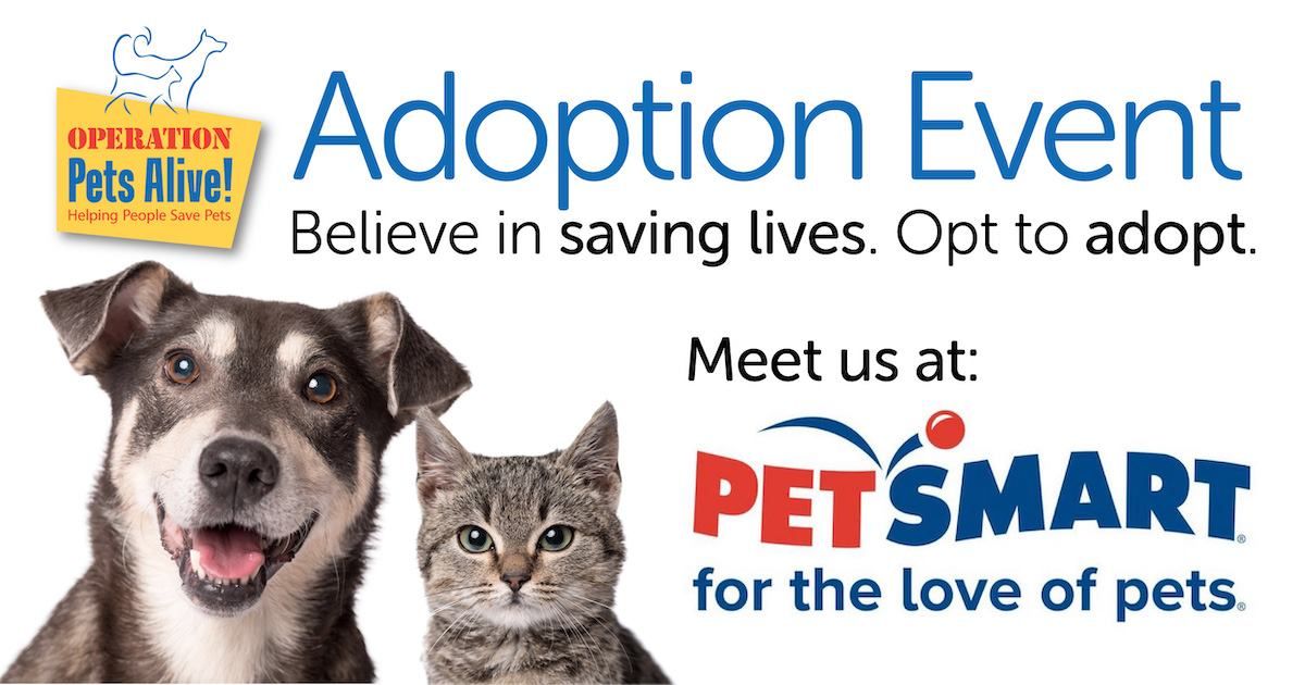 Pet Adoptions at PetSmart Grand Parkway 6\/29