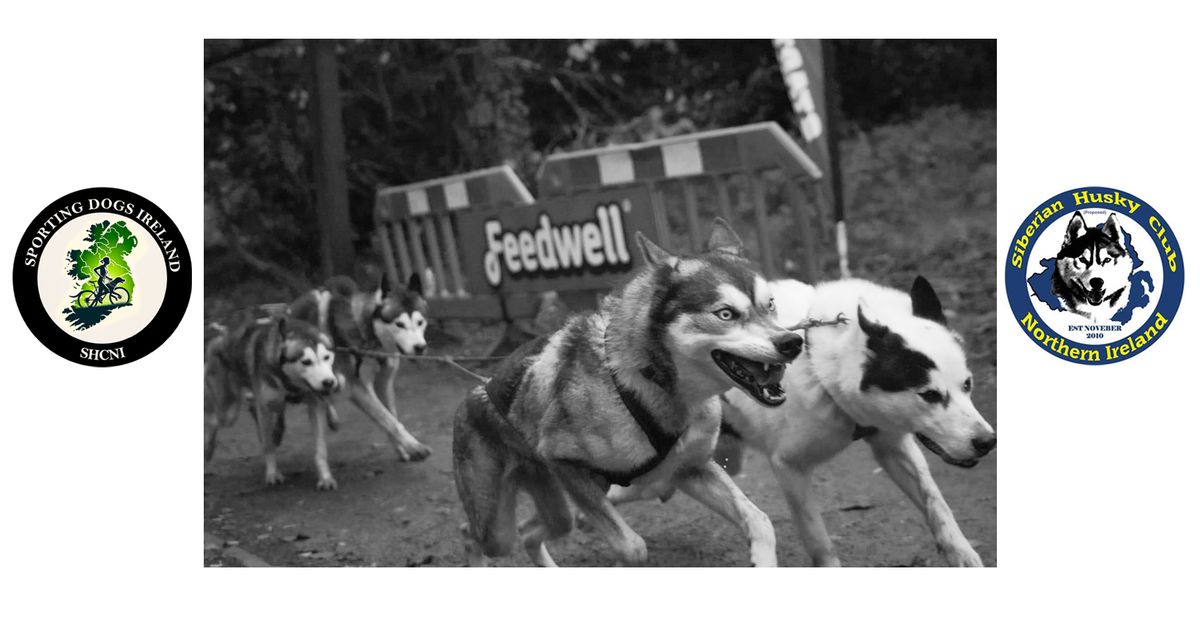 Gosford Forest Park Night Race