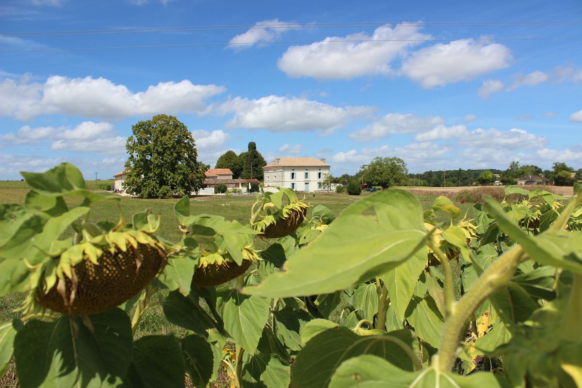 Yoga and Relaxation in France - FULLY BOOKED!