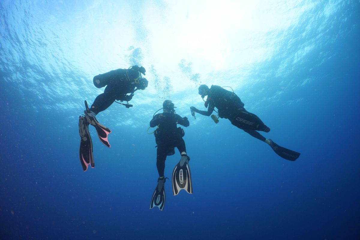 Boynton Beach Dive Meetup