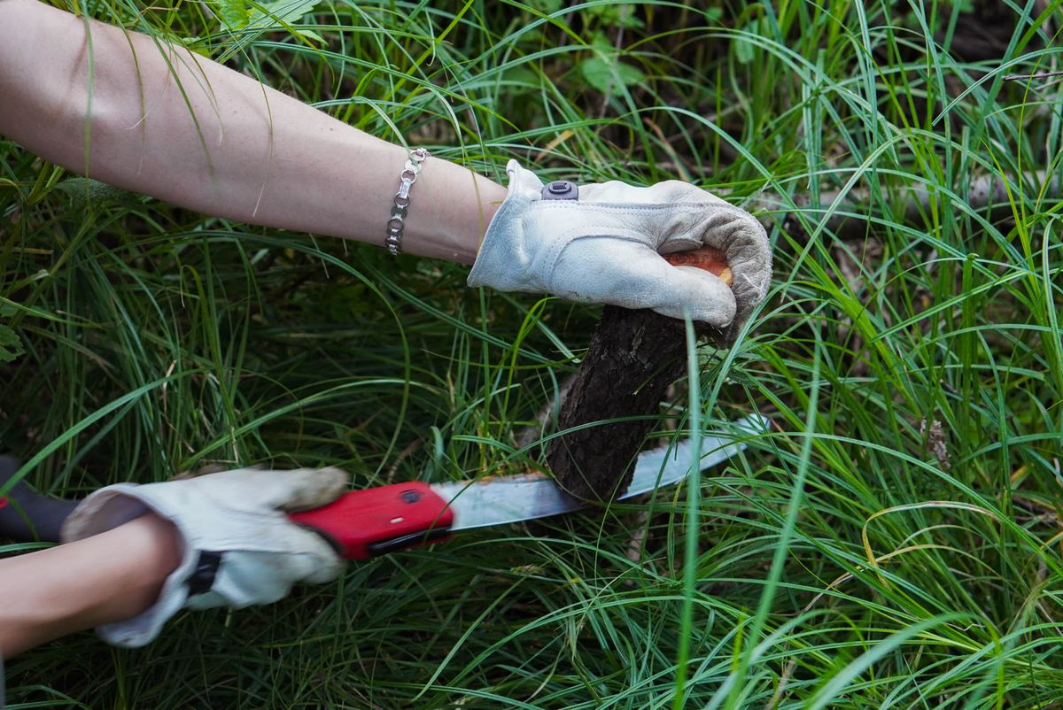 Eco-Stewardship Workday at Riverside Park