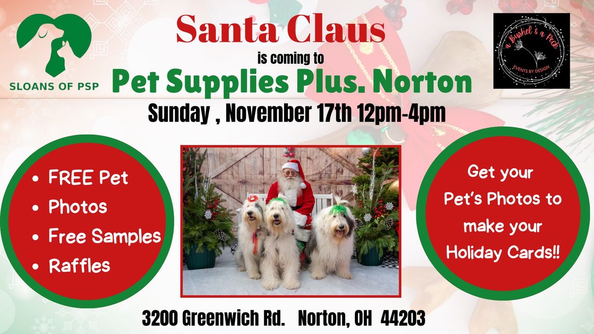 SANTA PAWS \ud83d\udc3e AT PET SUPPLIES PLUS NORTON