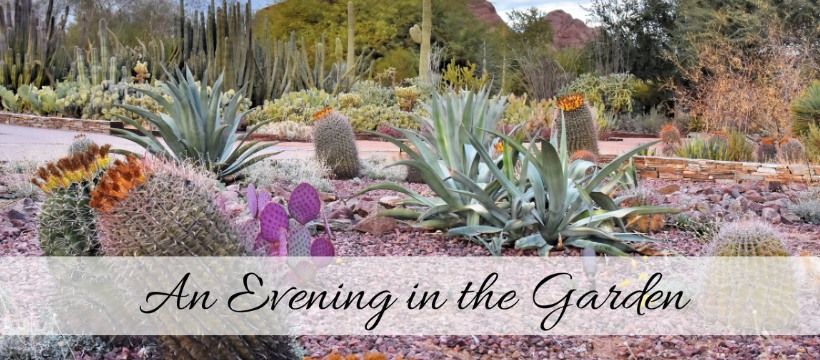 MOMAZ Annual Event at Desert Botanical Garden