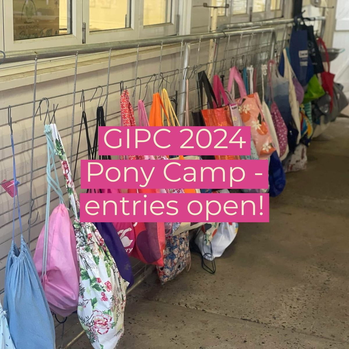 GIPC Pony Camp 