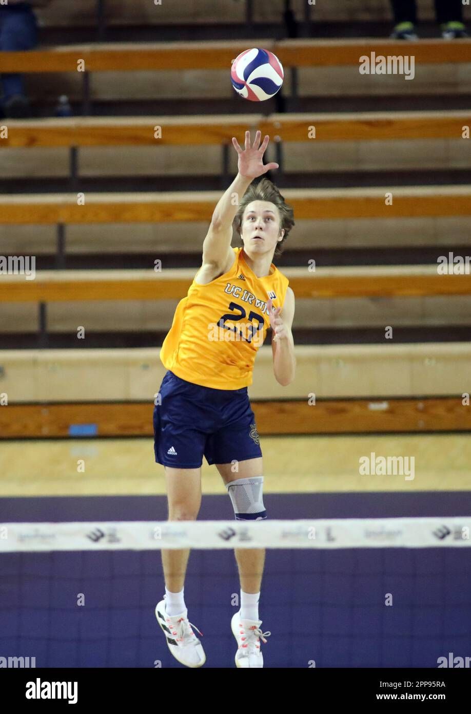 Hawaii Rainbow Wahine Women's Volleyball vs. UC Irvine Anteaters