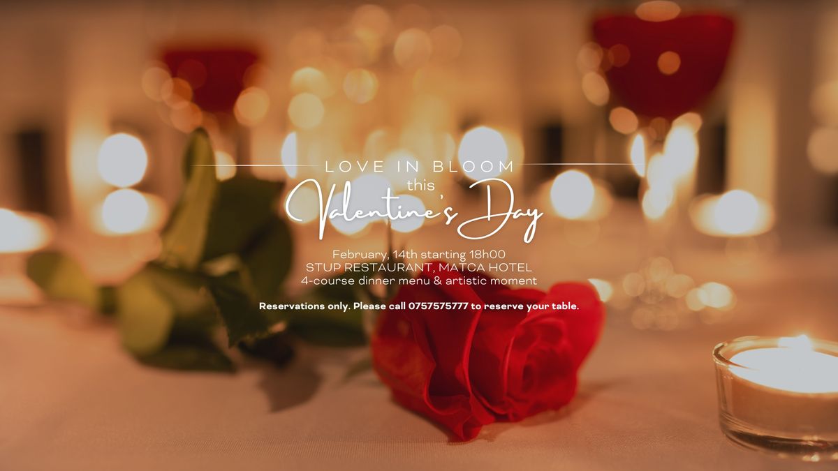 Valentine's Day at MATCA Hotel