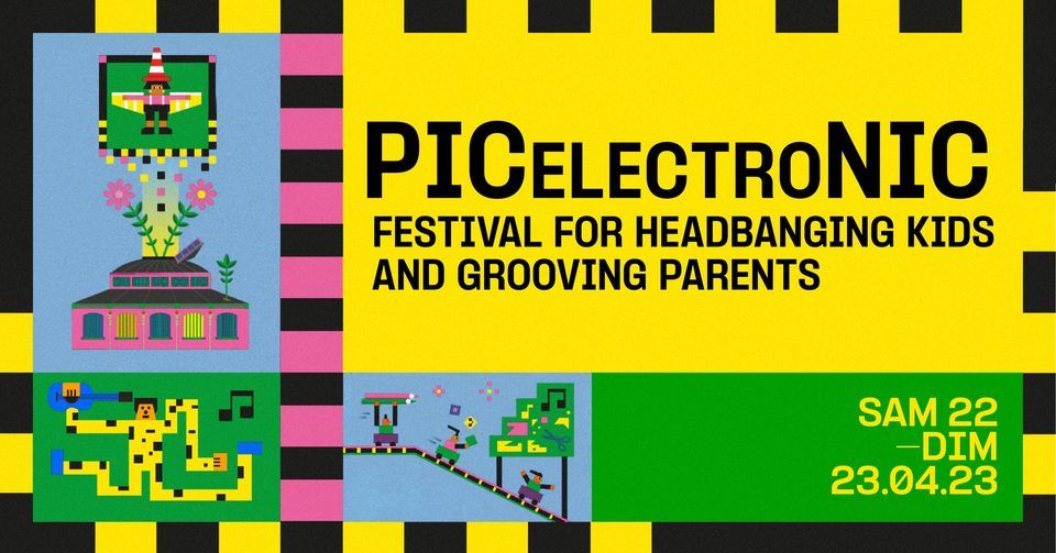 PICelectroNIC