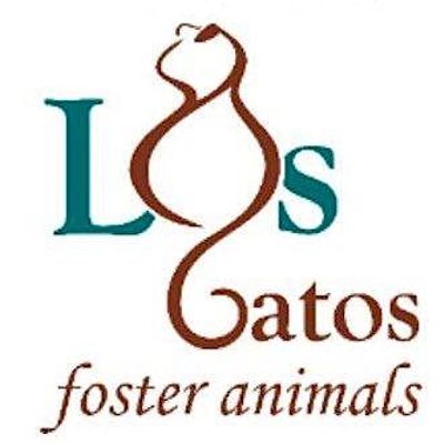 Los Gatos Foster Animals