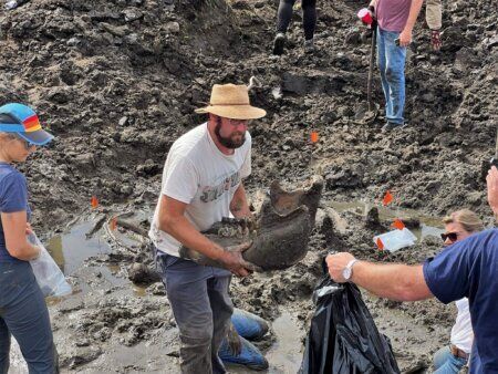 Uncovering the Clapp Family Mastodon