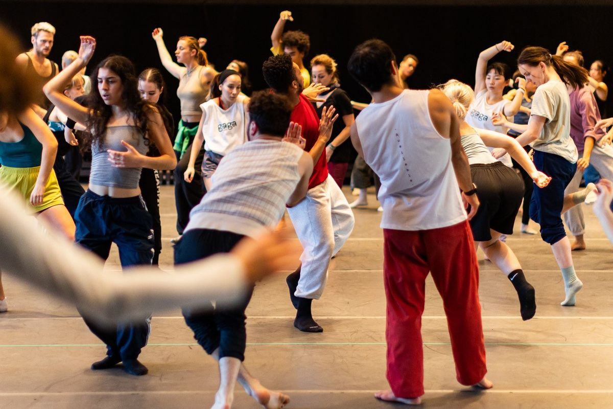 GAGA DANCERS CLASSES \/ OHAD NAHARIN REPERTOIRE - Hani Sirkis