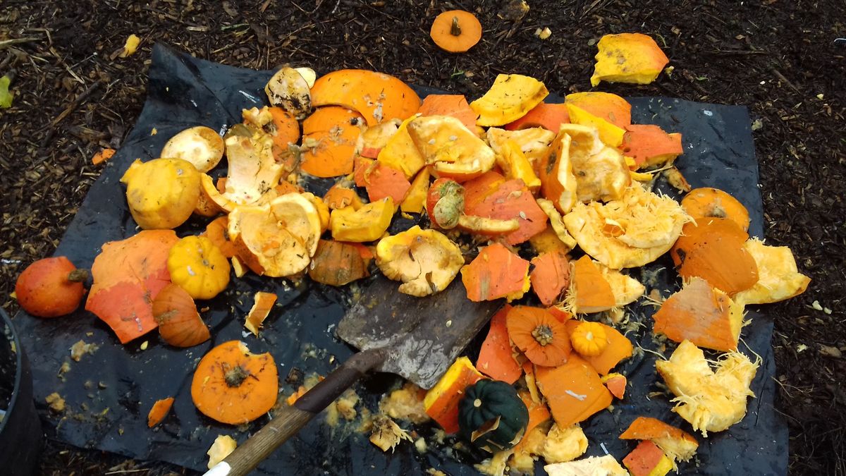 Pumpkin Smash (and Composting}