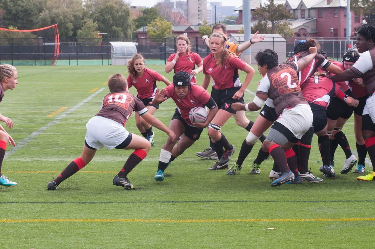 Harvard Crimson vs. Bowdoin Polar Bear