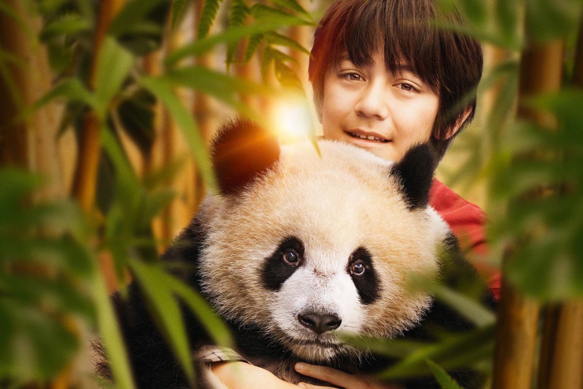 Moon Panda