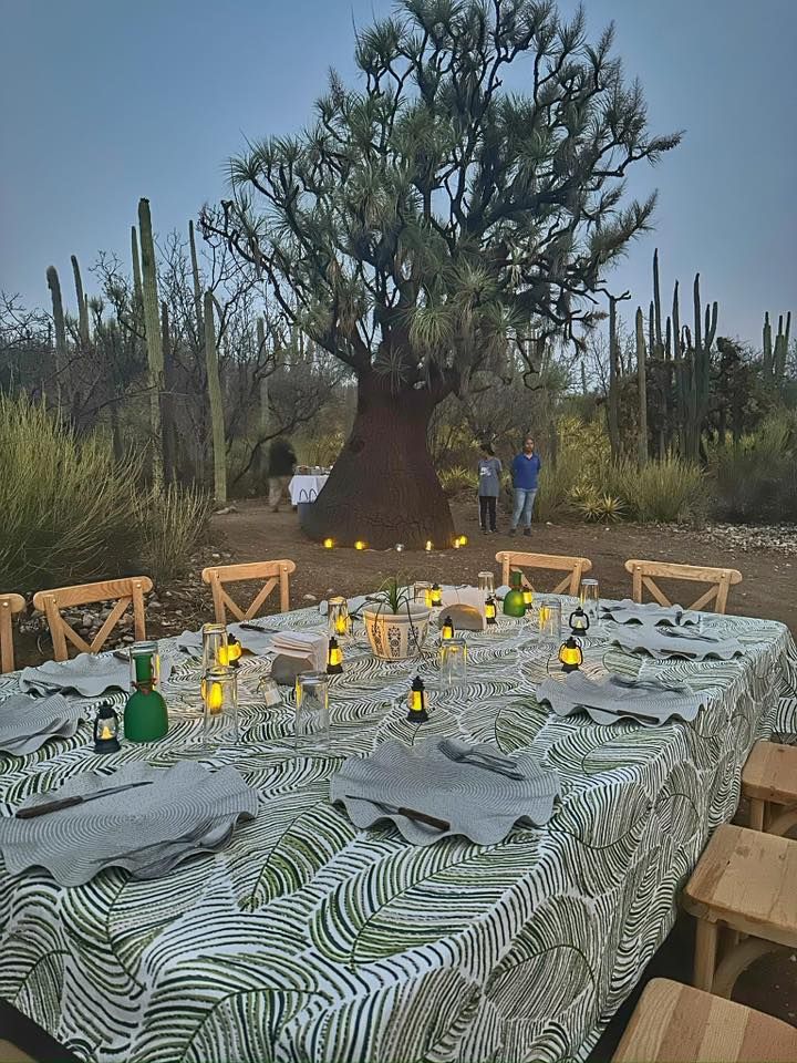 San Valent\u00edn en La Reserva de Tehuac\u00e1n .