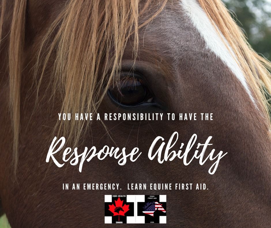 Advanced Equine First Aid