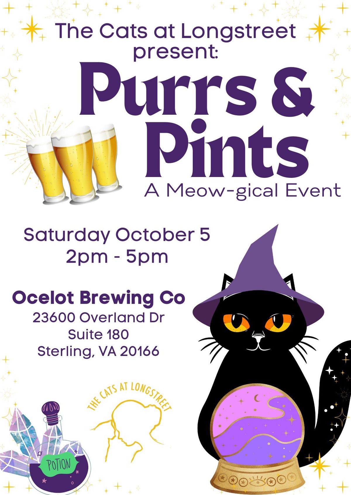 Purrs & Pints - A Meow-gical Afternoon! 