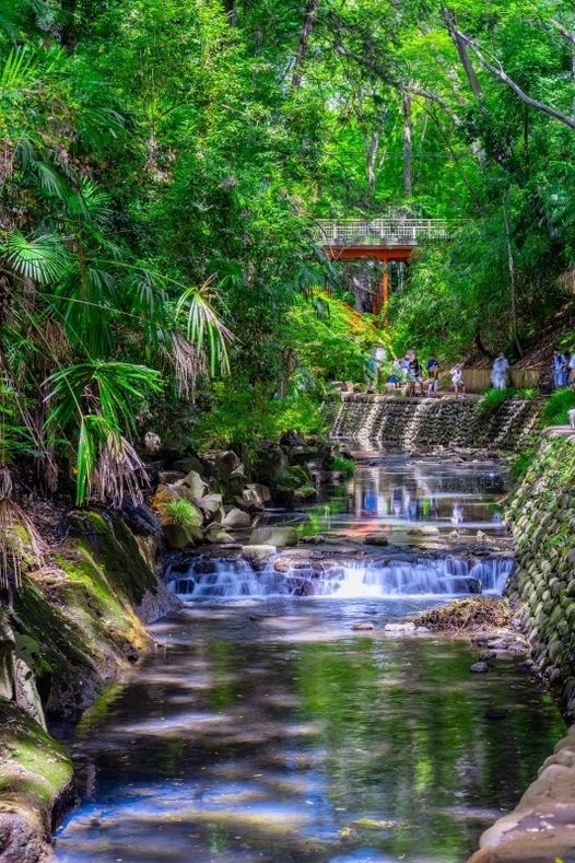 30 40代 東京散歩 1人参加 等々力 等々力渓谷 Setagaya 26 September 21 30 40代 東京散歩 1人参加 等々力 等々力渓谷 Setagaya 26 September 21