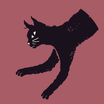 Cherry Dusk Yoga