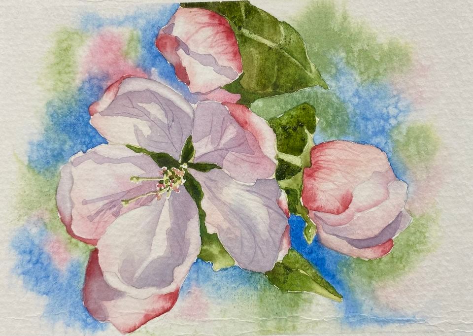 Intro to Watercolour - Mini Series - Apple Blossom