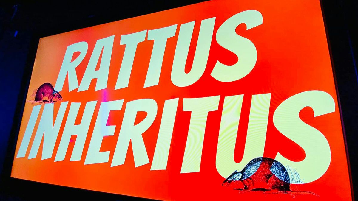 Rattus Inheritus bring you the music of The Stranglers