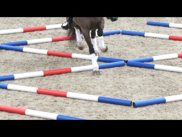 Dressage and Polework Training with Andrew Lovell