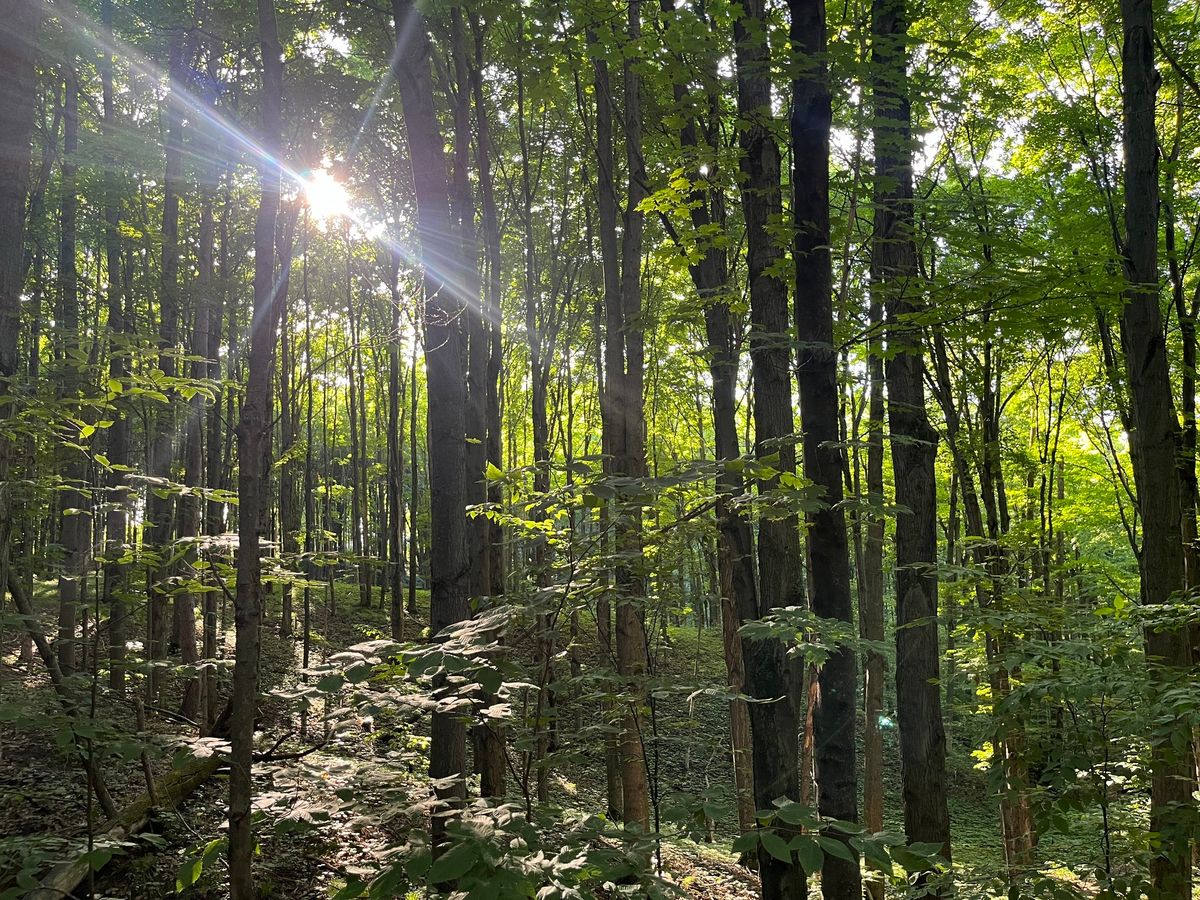 Women Owning & Appreciating Woodlands: Land Management & Planning Workshop