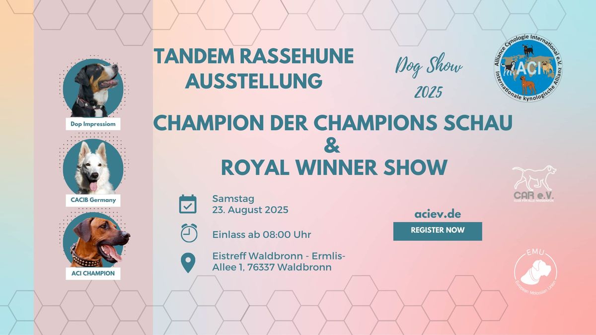 Rassehunde-Ausstellungen Champion der Champions Schau & Royal Winner Show