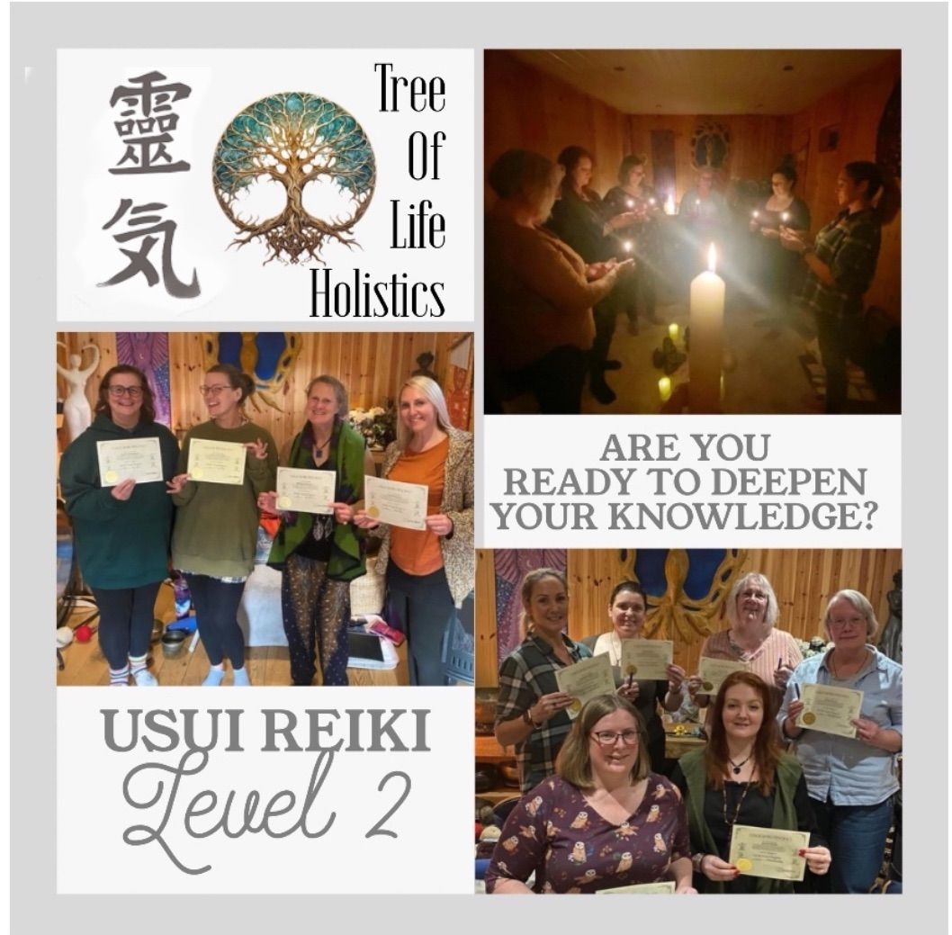 Usui Reiki Practitioner Level 2 