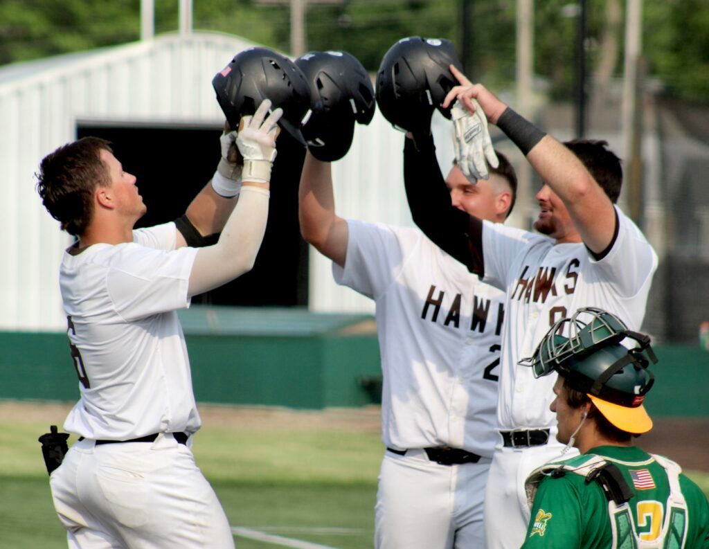 Wayne State Warriors vs. Quincy Hawks