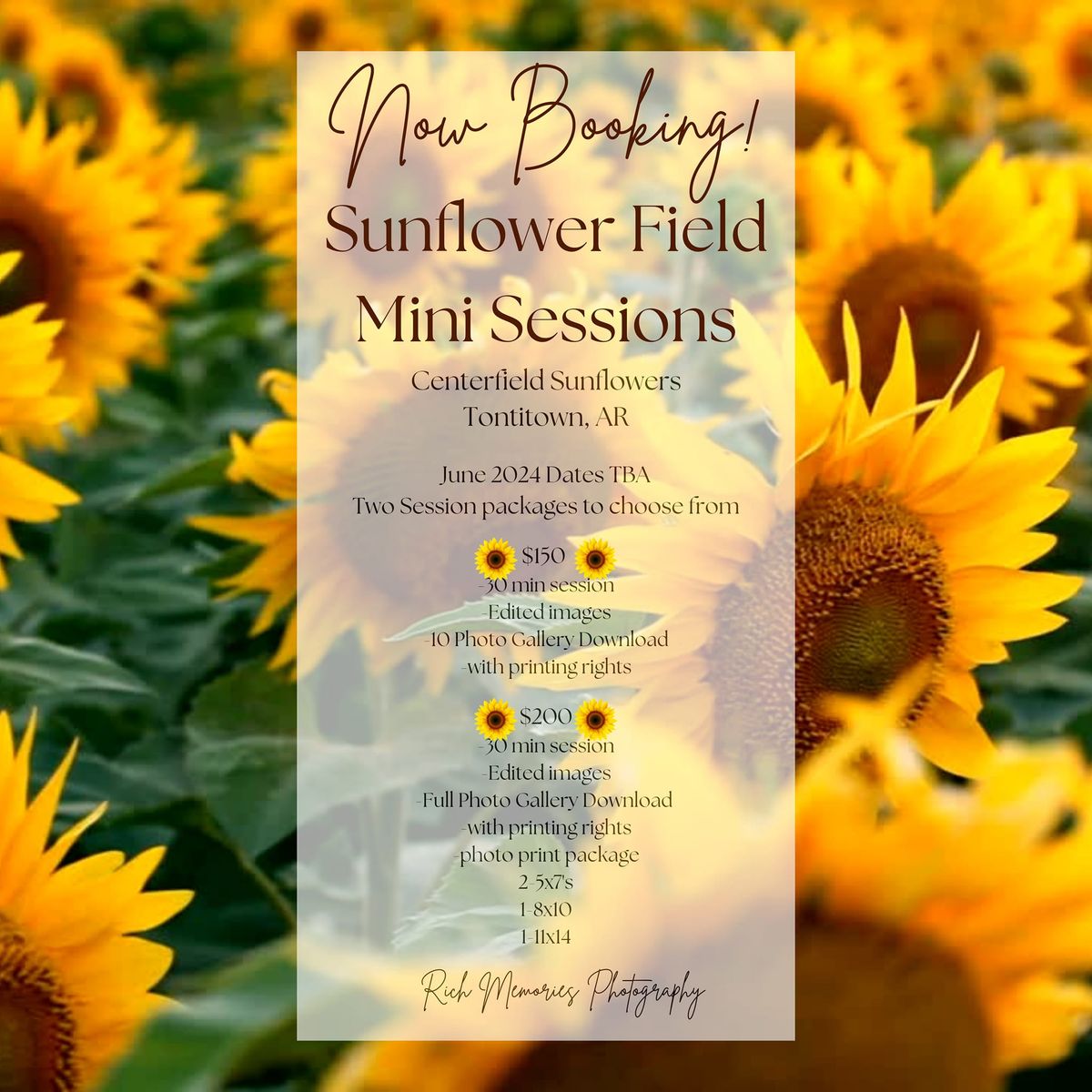 Sunflower Field Mini Session by Rich Memories Photography 