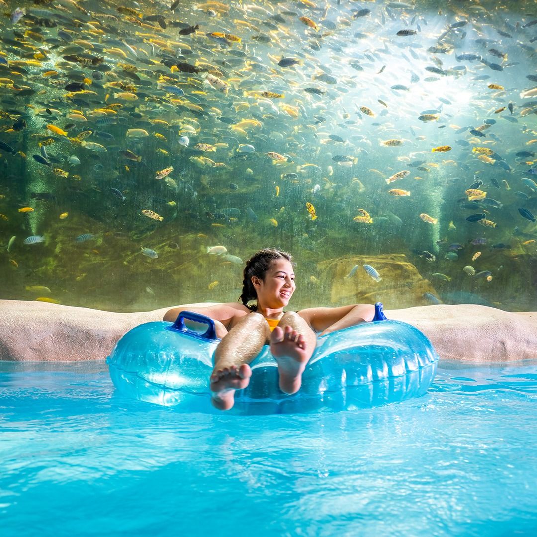 \ud83c\udf0a Dive into Fun: Aquatica Weekend Getaway! \ud83c\udfd6\ufe0f Orlando, FL $79 Per Couple