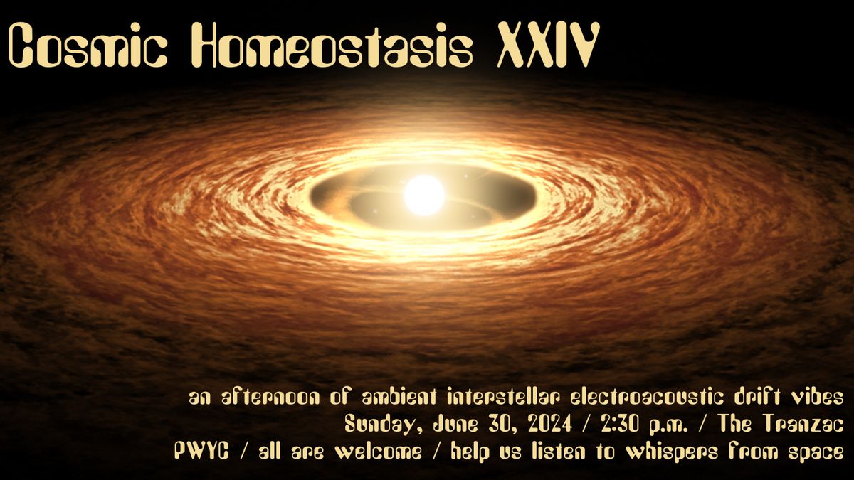 Cosmic Homeostasis XXIV