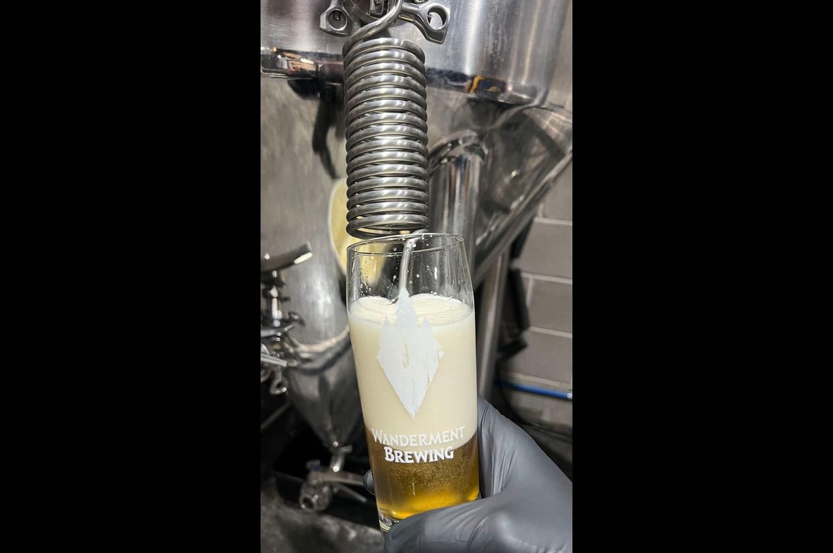 Czech Pilsner release & tank pours