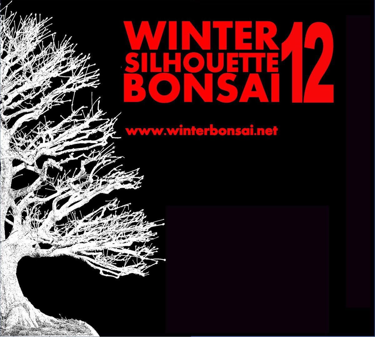 Winter Silhouette Bonsai 12