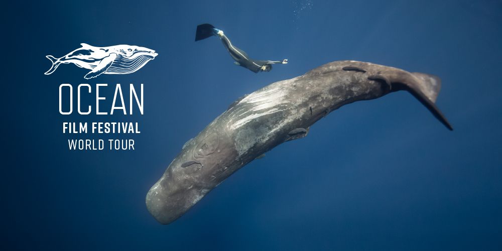 Ocean Film Festival World Tour 2025 - Newcastle Wed 5 Mar 7pm